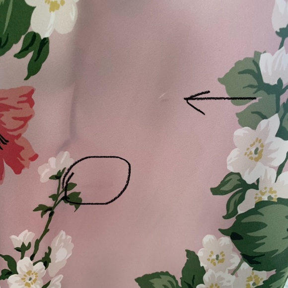 NWT Reformation Parma Silk Dress Rose Garden - Picture 16 of 16